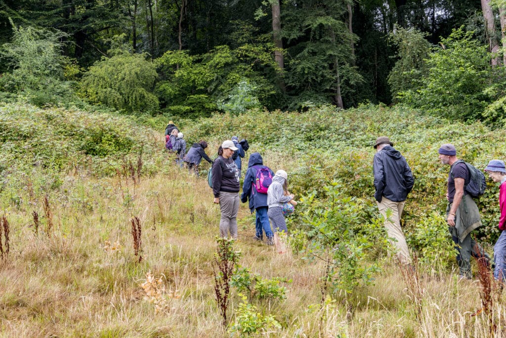 Photo of walking group heading up towards the woods behind the Cleve Wood development.