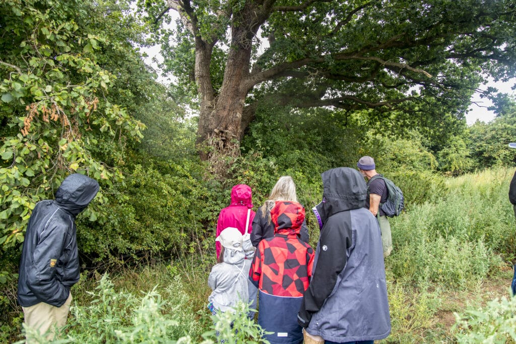 Photo of the walk leader pointing out interesting hedgerow wildlife and plants to a group of attendees in Crossways Wood.