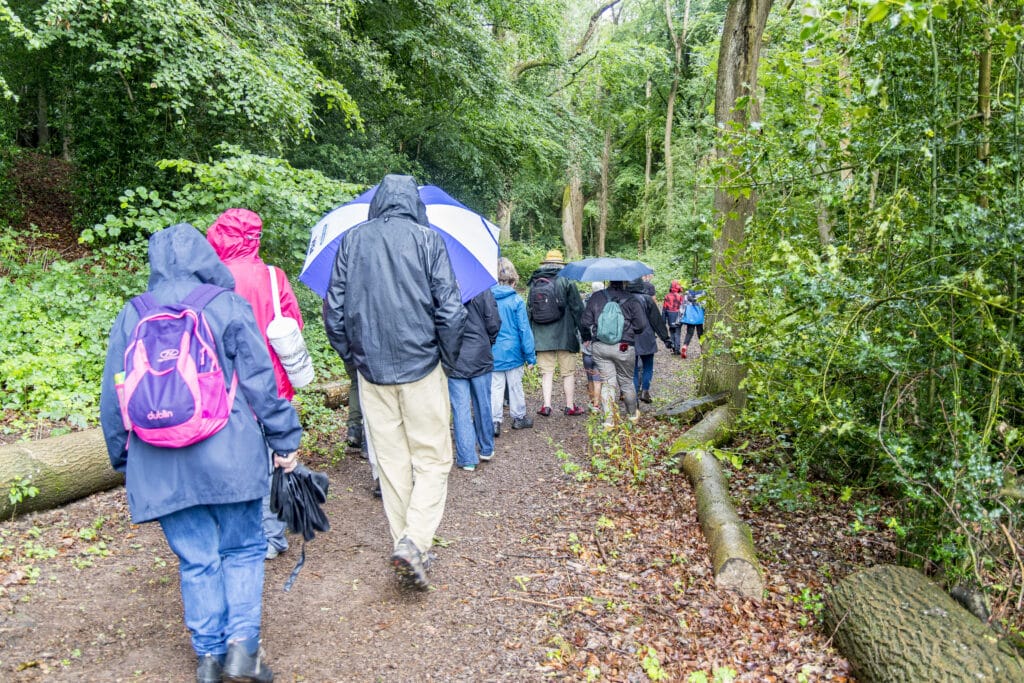 Photo of walking group heading into Crossways wood on a wet day.